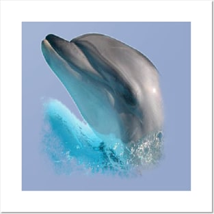 Dolphin nose Posters and Art